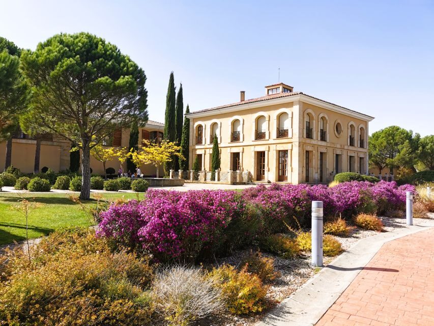 Ribera del Duero wine region private tour - Morning ride from Madrid: planning your day around travel time