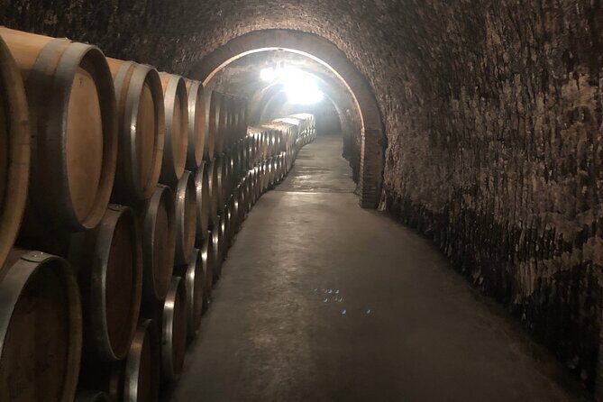 Ribera del Duero Wine Tour: Two Wineries and Tasting - Key highlights you’ll feel all day