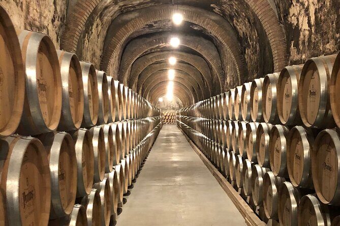 Ribera del Duero Wine Tour: Two Wineries and Tasting - A smooth Ribera del Duero day from Madrid (8–9 hours total)