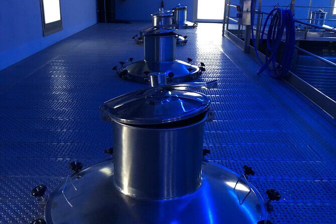 Ribera del Duero Wine Tour: Two Wineries and Tasting - Bodegas Nabal: vineyard walk, guardaviña, and the cathedral ageing room
