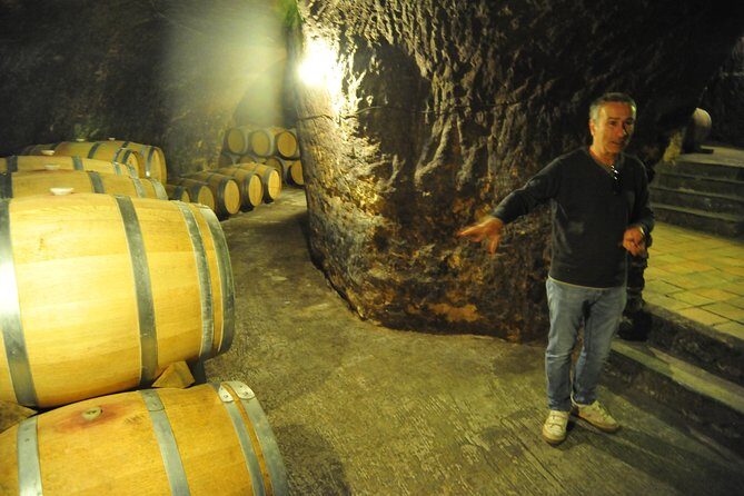 Ribera del Duero Wineries Guided Tour & Wine Tasting from Madrid - Sotillo de la Ribera: modern architecture built to look at the vineyards