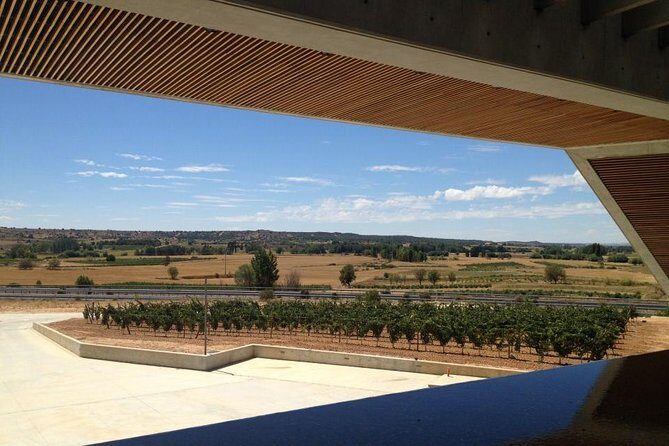 Ribera del Duero Wineries Guided Tour & Wine Tasting from Madrid - Roa lunch break: plan your meal like a local