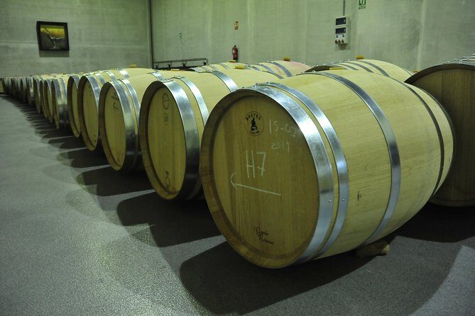Ribera del Duero Wineries Guided Tour & Wine Tasting from Madrid - The morning drive: why the Duero river matters to your tasting