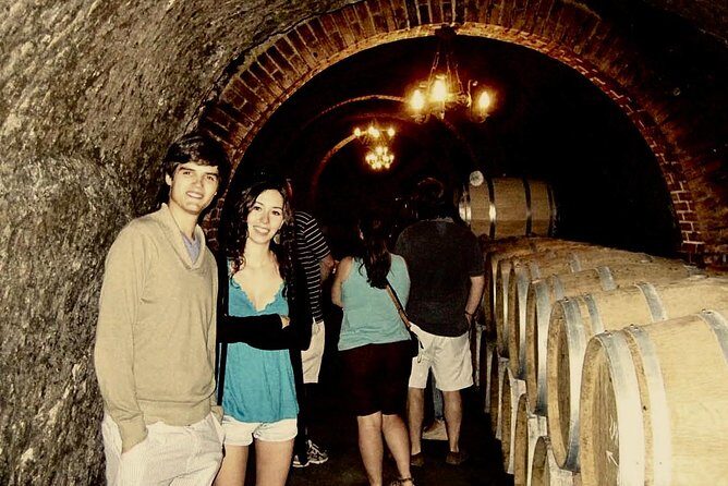 Ribera del Duero Winery Guided Tour and Wine Tasting from Madrid - Ribera del Duero in One Long Day: What You’re Actually Seeing
