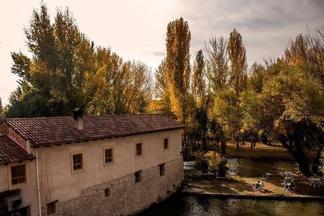 Ribera del Duero Winery Guided Tour and Wine Tasting from Madrid - Lunch in Castile: How to Eat Local When It’s Not Included