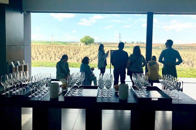 Ribera del Duero Winery Guided Tour and Wine Tasting from Madrid - Winery Stop #2 (and the Optional Third): Comparing Different Bodegas
