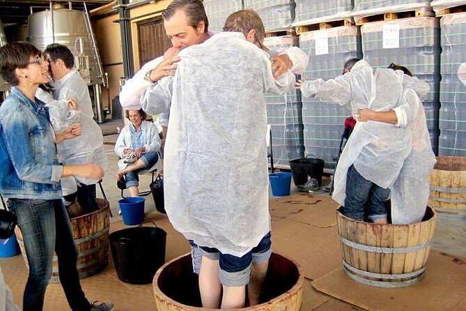 Ribera del Duero Winery Guided Tour and Wine Tasting from Madrid - Price and Value: Is $191.87 a Fair Deal From Madrid?