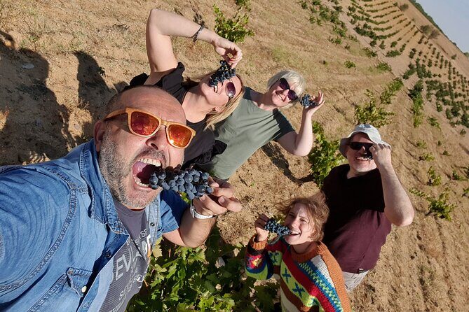 Ribera del Duero:4 Wineries, tasting & Lunch included from Madrid - Ribera del Duero: Tempranillo country in one guided day