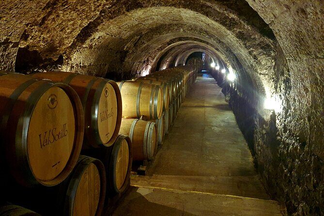 Ribera del Duero:4 Wineries, tasting & Lunch included from Madrid - Stop 1 in Ribera: underground caves, artisan production, and winemakers up close