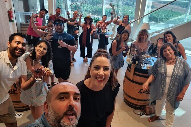 Ribera del Duero:4 Wineries, tasting & Lunch included from Madrid - Alvides: an underground XVI-century cellar and wines made for small runs