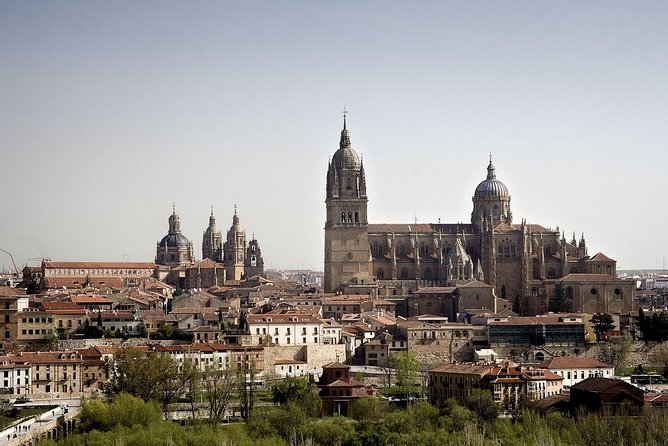 Salamanca and Avila Private Tour from Madrid with Hotel Pickup - Casa de las Conchas and the Shell-Lined Surprise