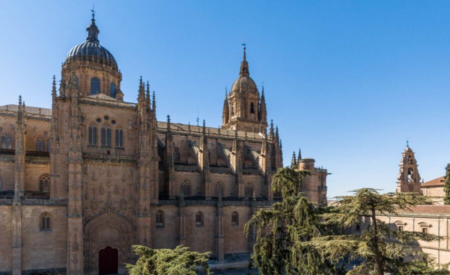 Salamanca: Cathedral of Salamanca Ticket with Audio Guide - Key Highlights You’ll Notice Right Away