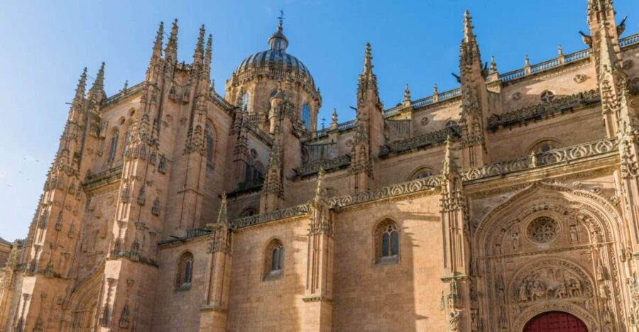 Salamanca: Cathedral of Salamanca Ticket with Audio Guide - Cloister and Chapter Halls: Where You Catch the Quiet Beauty