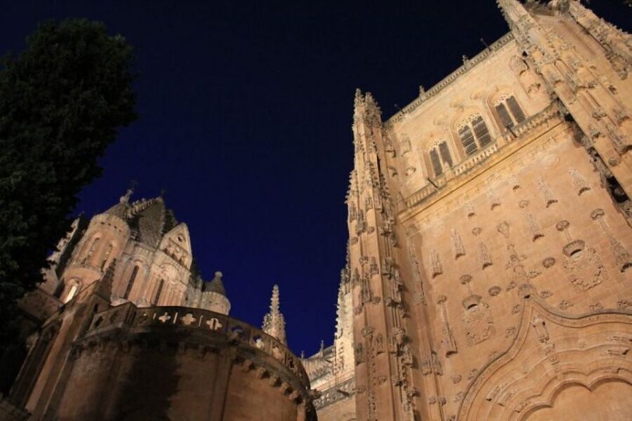 Salamanca: Evening Sightseeing Walking Tour - Key highlights worth showing up for