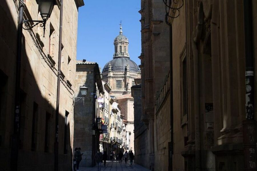 Salamanca: Guided Sightseeing Tour by Bicycle - Pace, comfort, and who this tour fits best