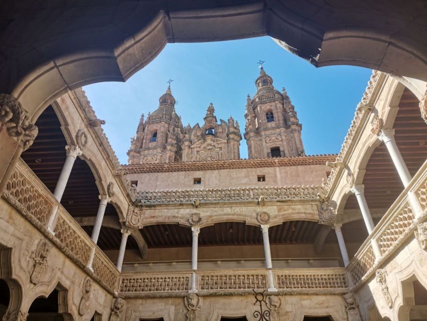 Salamanca: Monuments and Landmarks Guided Walking Tour - Key highlights you’ll feel on the walk
