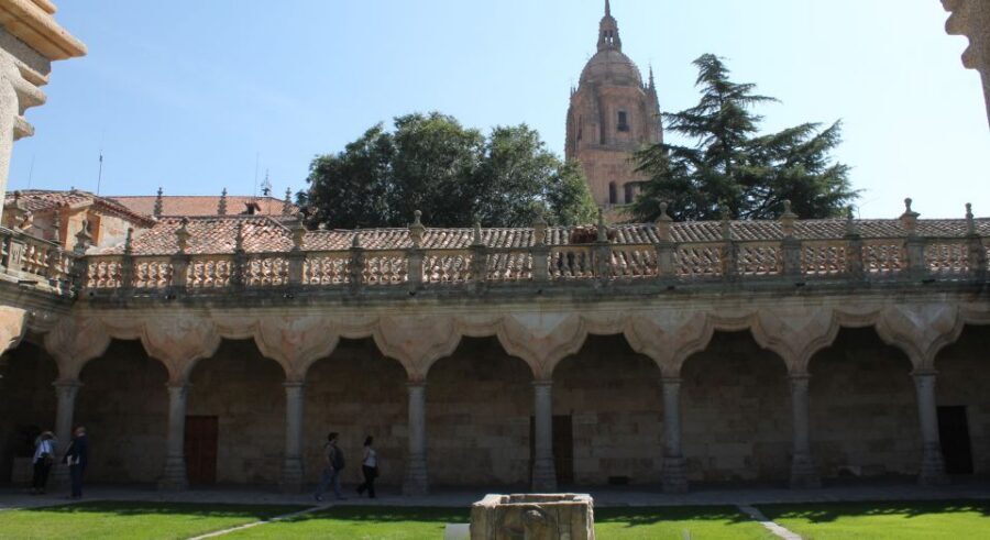Salamanca: Monuments and Landmarks Guided Walking Tour - Meeting your guide in Plaza Mayor, then getting oriented fast