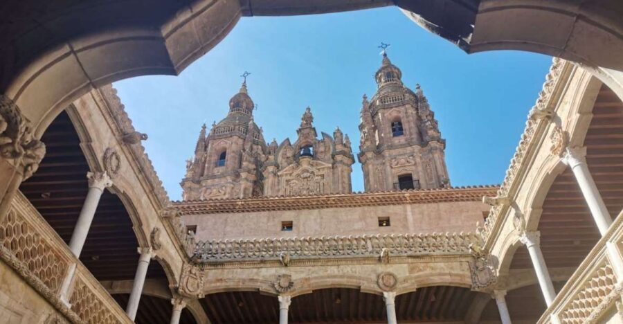 Salamanca: Monuments and Landmarks Guided Walking Tour - Monterrey’s Palace: style and status in Salamanca sandstone