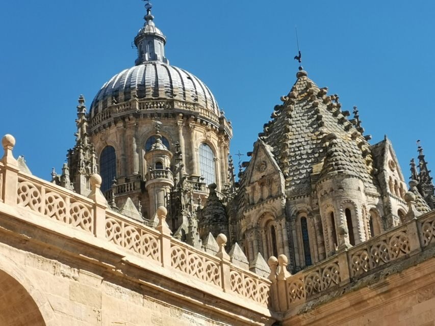 Salamanca: Monuments and Landmarks Guided Walking Tour - The Sky of Salamanca: a ceiling painting that changes your whole visit