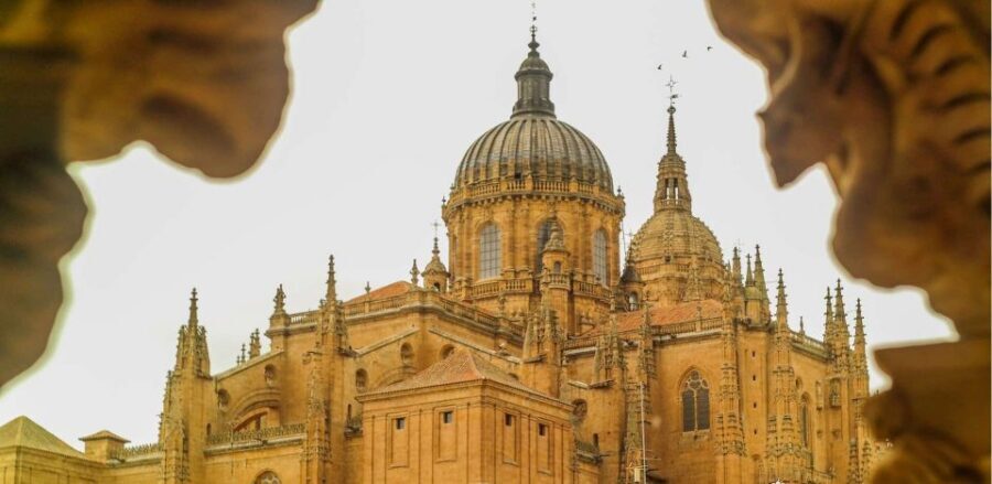 Salamanca: Private Guided Customizable Walking Tour - Convent stops: San Esteban and Las Dueñas for a calmer, quieter feel