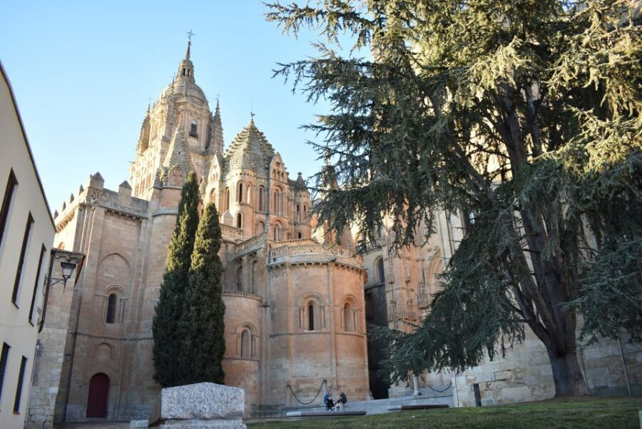 Salamanca: Private Sightseeing & Cultural Walking Tour - Key Highlights You’ll Feel During the Walk