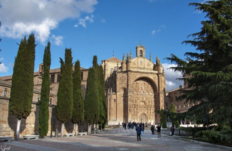 Salamanca: Private Sightseeing & Cultural Walking Tour - Salamanca on Foot: Why This 2-Hour Format Works