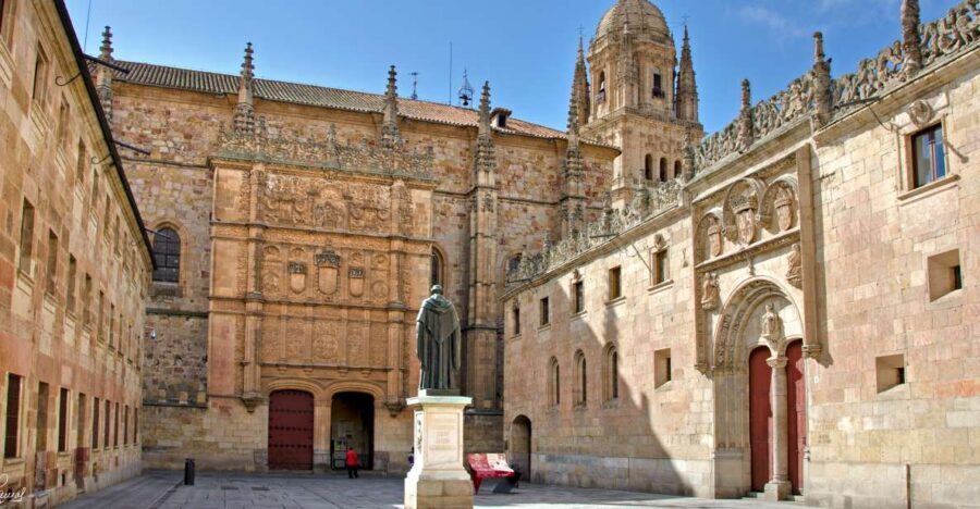 Salamanca: Private Sightseeing & Cultural Walking Tour - Starting Points: Picking the Easiest Meeting Spot