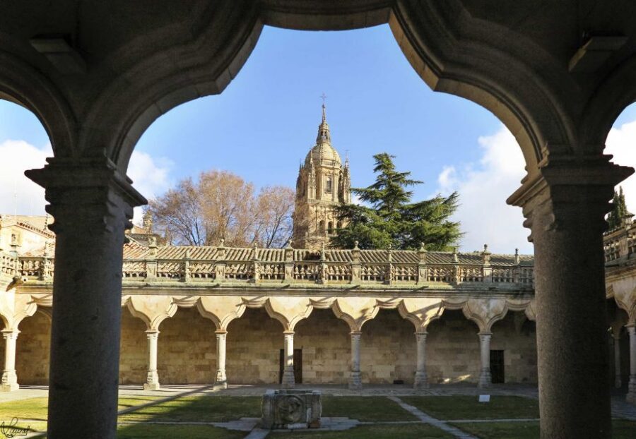 Salamanca: Private tour of the most important sites - Key things that make this tour work well
