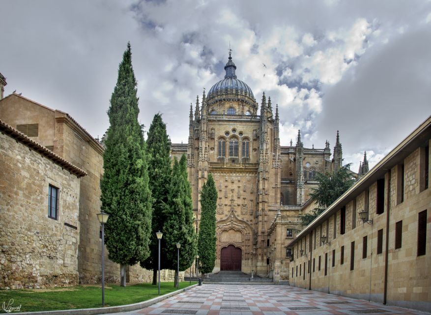 Salamanca: Private tour of the most important sites - Price and what you’re really paying for ($177 for up to 5)