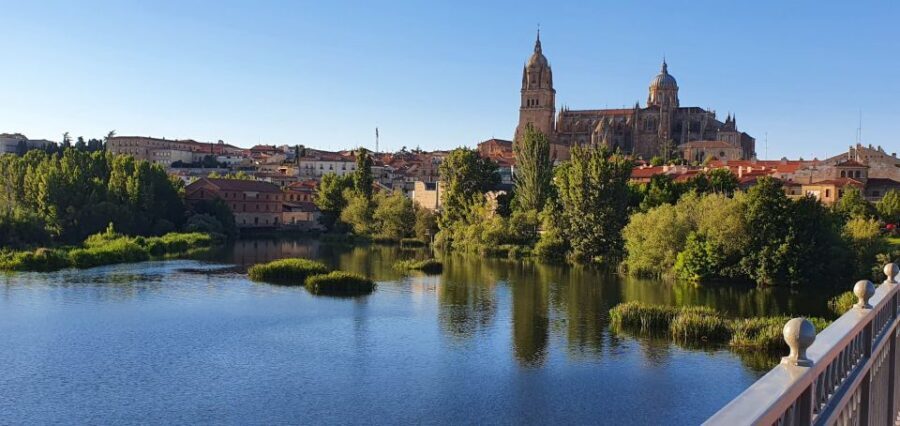 Salamanca: Private tour of the most important sites - The core experience: a guided walk that turns landmarks into context