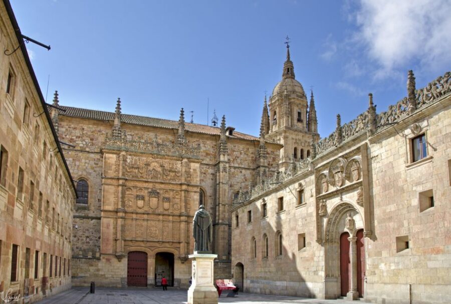 Salamanca: Private tour of the most important sites - How the 1.5-hour format suits different travel styles