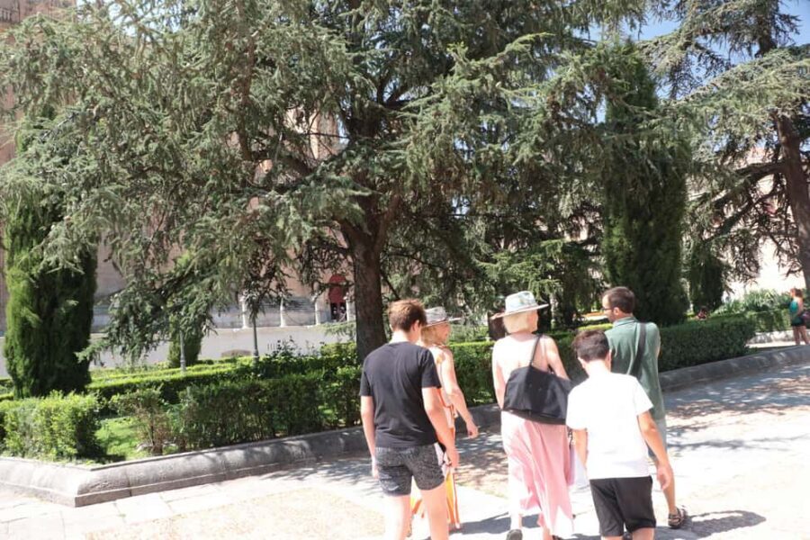 Salamanca: Private Tour with a Local - Why a private Salamanca walk feels more personal than big sightseeing