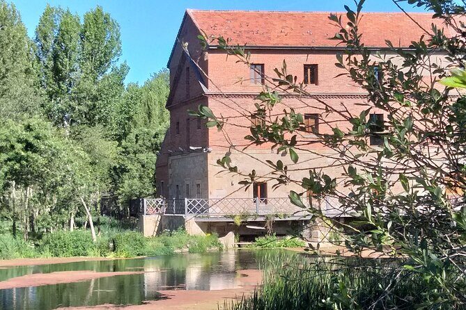 Salamanca Private Walking Tour with a Local - Why a local-led Salamanca walk beats a checklist