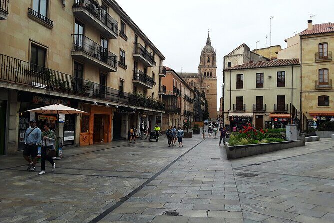 Salamanca Private Walking Tour with a Local - Plaza Mayor start point: where your bearings click