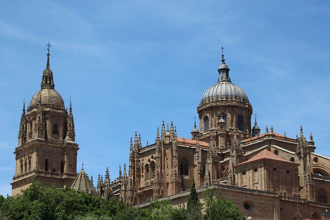 Salamanca Private Walking Tour with a Local - Casa Lis: a smart way to mix old and new