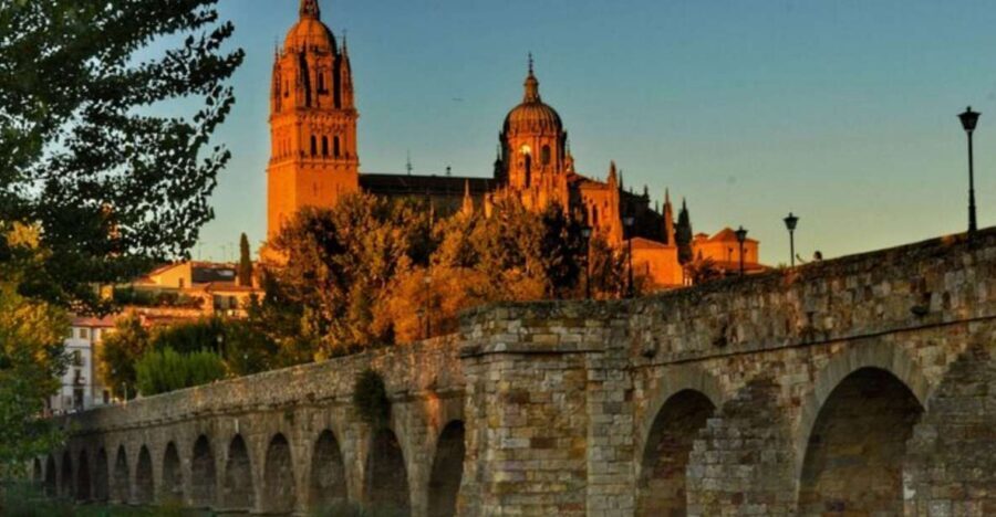 Salamanca: Private Walking Tour with a Local Guide - Why this private walking tour works in Salamanca