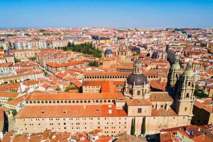 Salamanca: Private Walking Tour with a Local Guide - Customization: how to get the most from your limited time