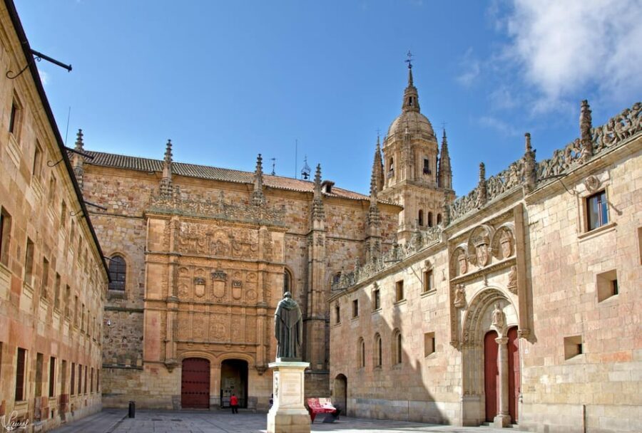 Salamanca: University and Colleges Walking Tour (Private) - University of Salamanca: From 1218 Roots to 15th-Century Rooms