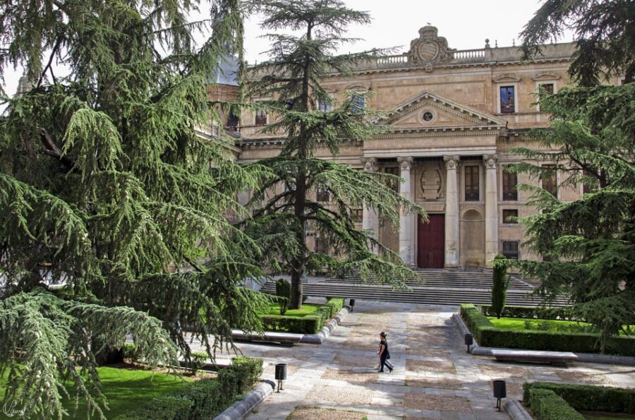Salamanca: University and Colleges Walking Tour (Private) - Salamanca Photo Stop and Visit: Learning the City Through the Campus
