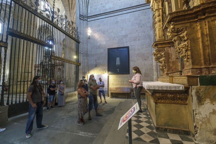 Segovia: Cathedral Tower Guided Tour - Who this tour suits best