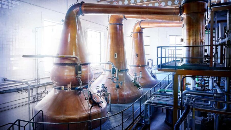 Segovia: DYC Distillery guided visit with whiskey tasting - Meeting point and timing: how to start smoothly