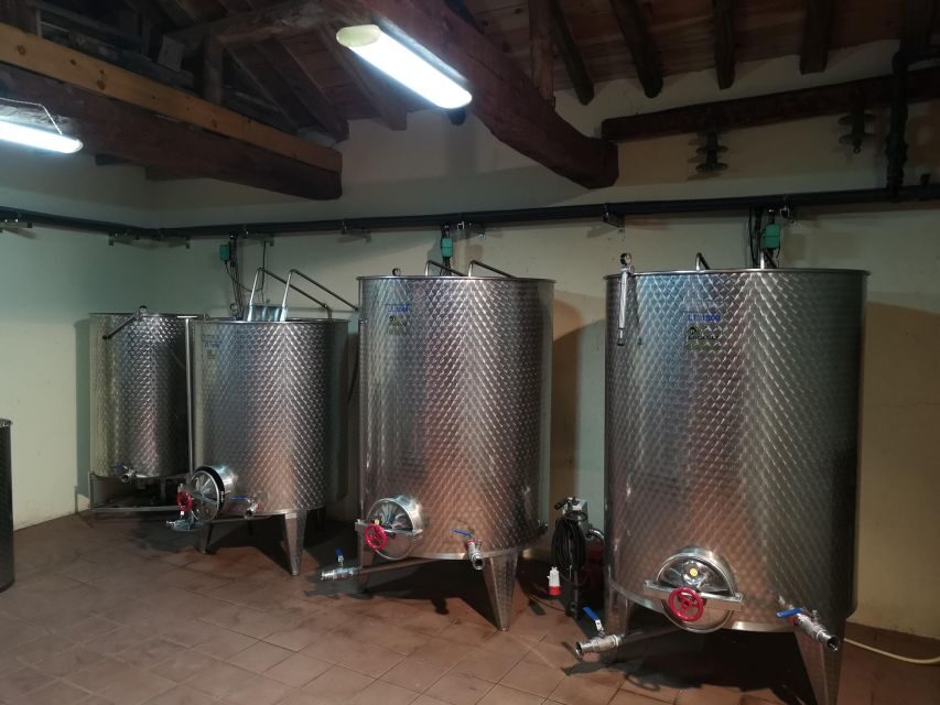 Segovia: Winery Tour with Wine Tasting - A Small Winery Trip That Still Feels Personal (Las Dos Antiguas in Navas de Oro)