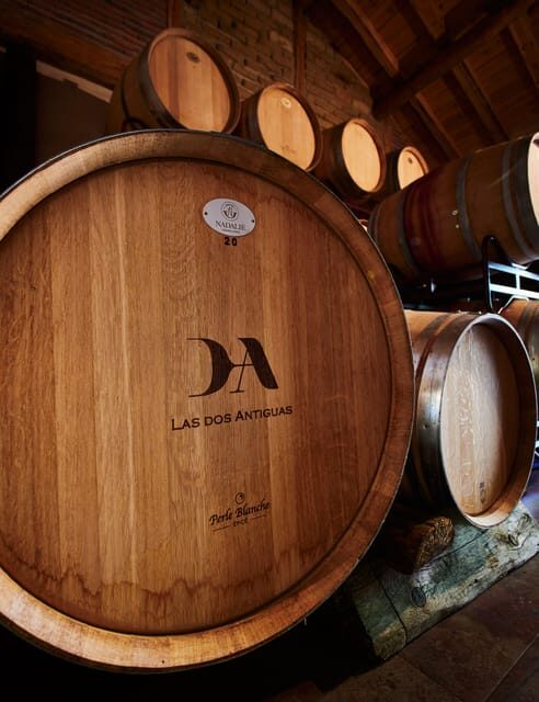 Segovia: Winery Tour with Wine Tasting - Your 1-Hour Guided Tour: Vineyard, Labels, Cellar, and Red vs White