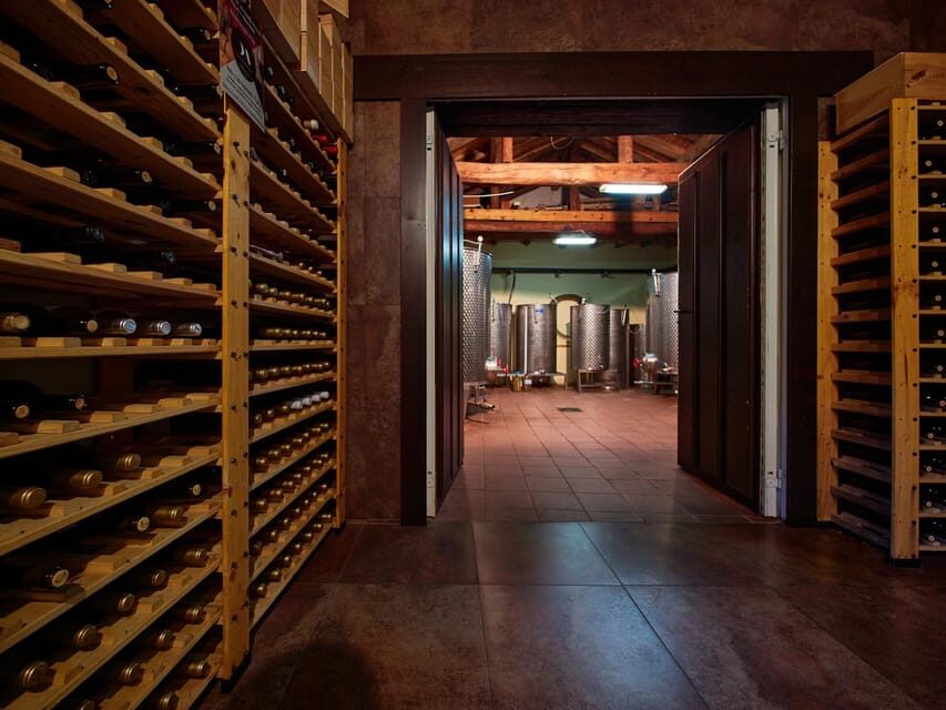 Segovia: Winery Tour with Wine Tasting - What to Ask During the Tour (So You Actually Taste With Clarity)