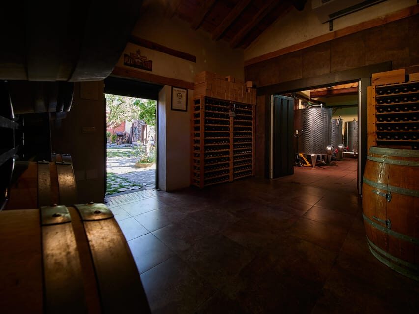 Segovia: Winery Tour with Wine Tasting - English or Spanish Guide: How the Visit Feels in Real Life