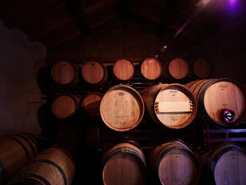 Segovia: Winery Tour with Wine Tasting - Quick Decision: Should You Book This Segovia Winery Tour?