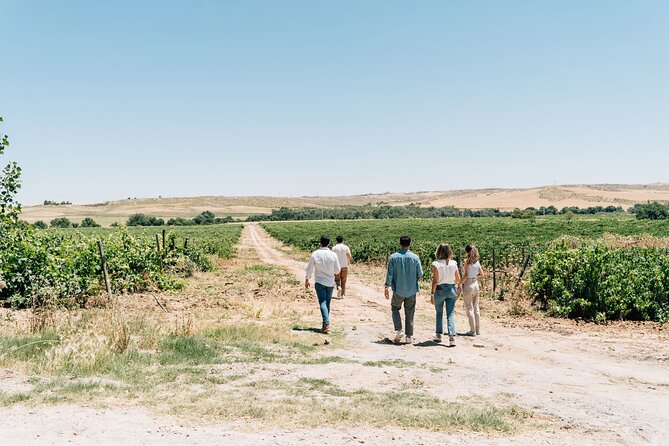 Spanish Villages & Winery Visit with Wine Tasting and Tapas Lunch - Price and value check: is $209.31 worth it?