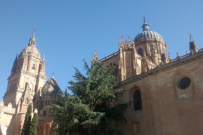 The Best of Salamanca (English) - A 1.5-Hour Orientation Walk That Actually Feels Local