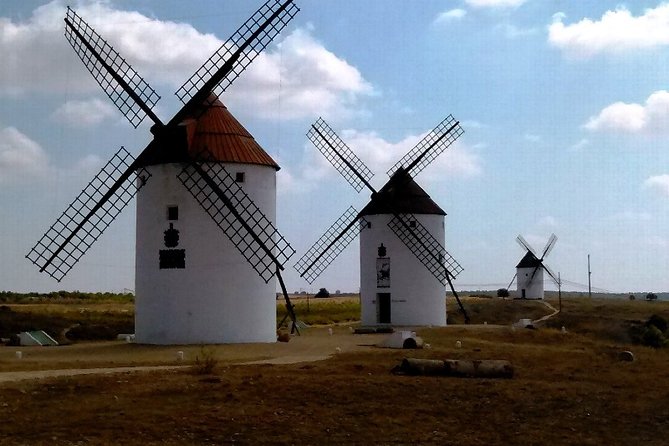 Toledo, Windmills, Winery Small Group Tour with Lunch from Madrid - Bodegas Peral winery tasting and lunch that actually feels like a meal